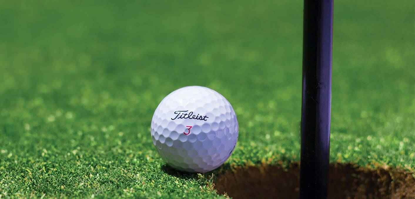 Short Distance to Professional Golf Course